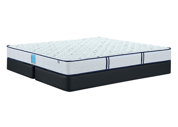 未标题-3_0000_9aebf76ec6b9536a7873f202400e4f78