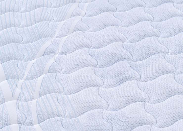 109e26b21cc0a4007c5ae9029d36903e