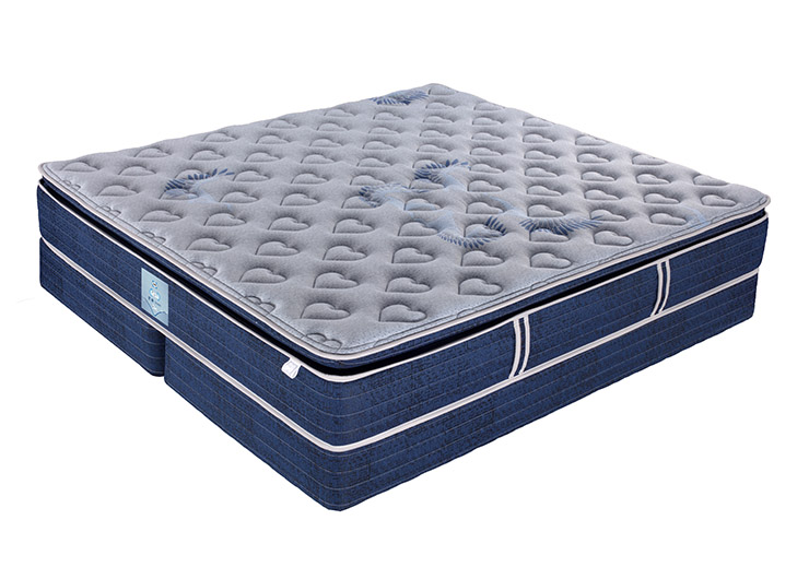 a113327baabc5db94826edf8206fd447